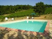 Schwimmbad des Ferienbauernhofs Podere Vignola